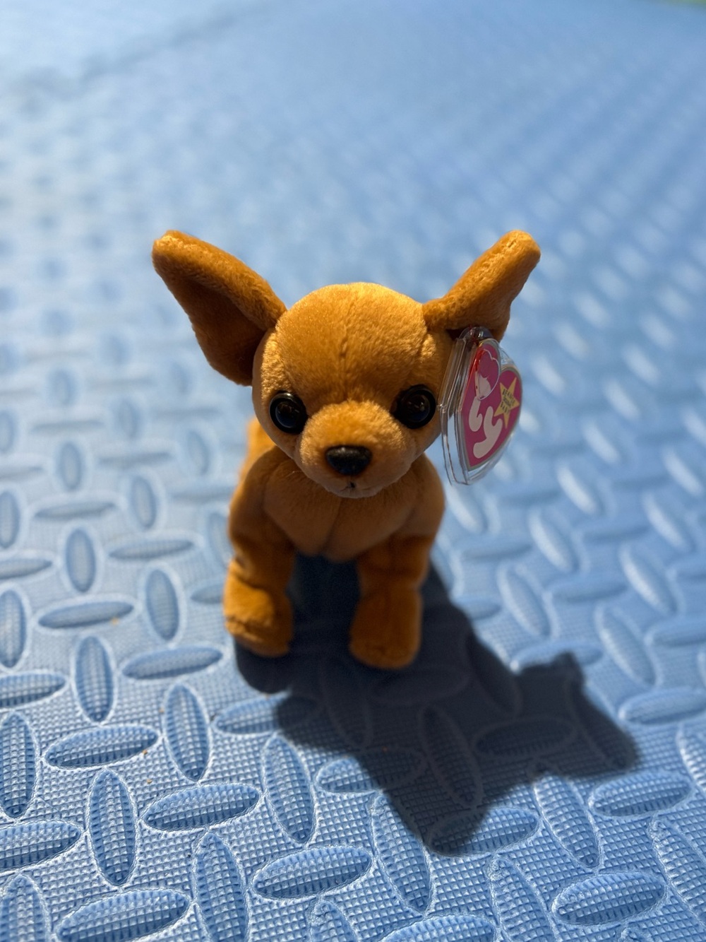 Ty Beanie Baby- Tiny the Chihuahua